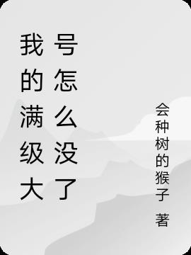 我的满级大号怎么没了