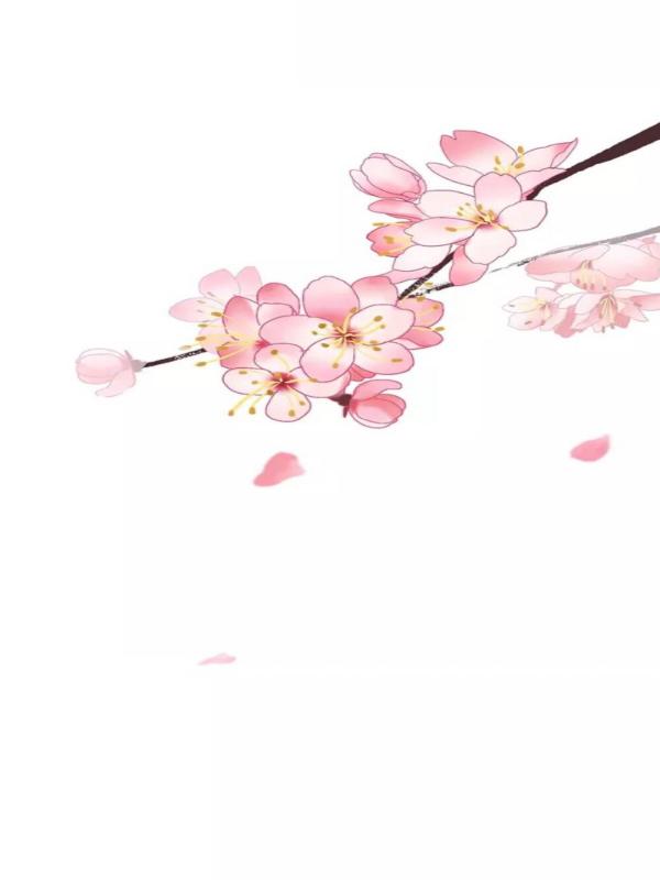封鸾星运